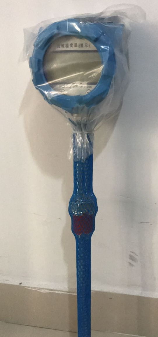 防爆現場溫度顯示儀